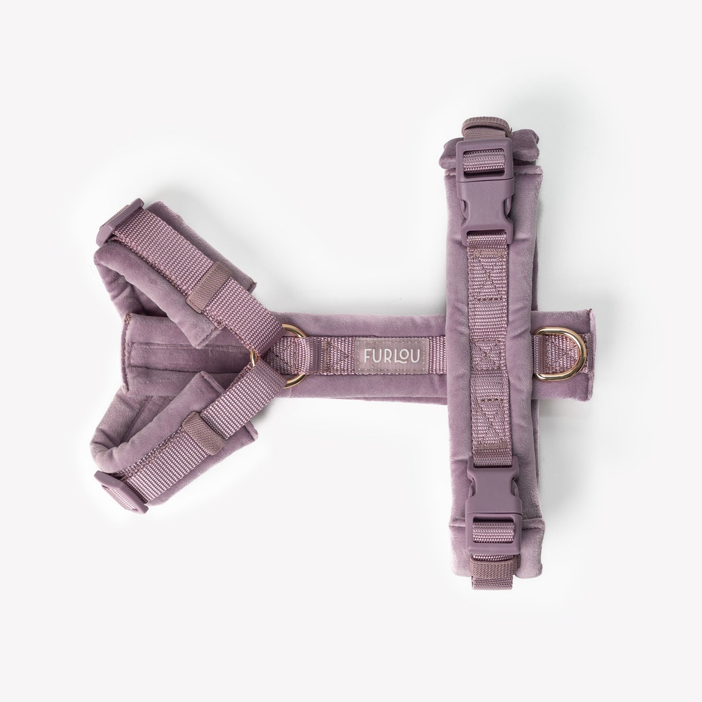 Harnais velours Lilac