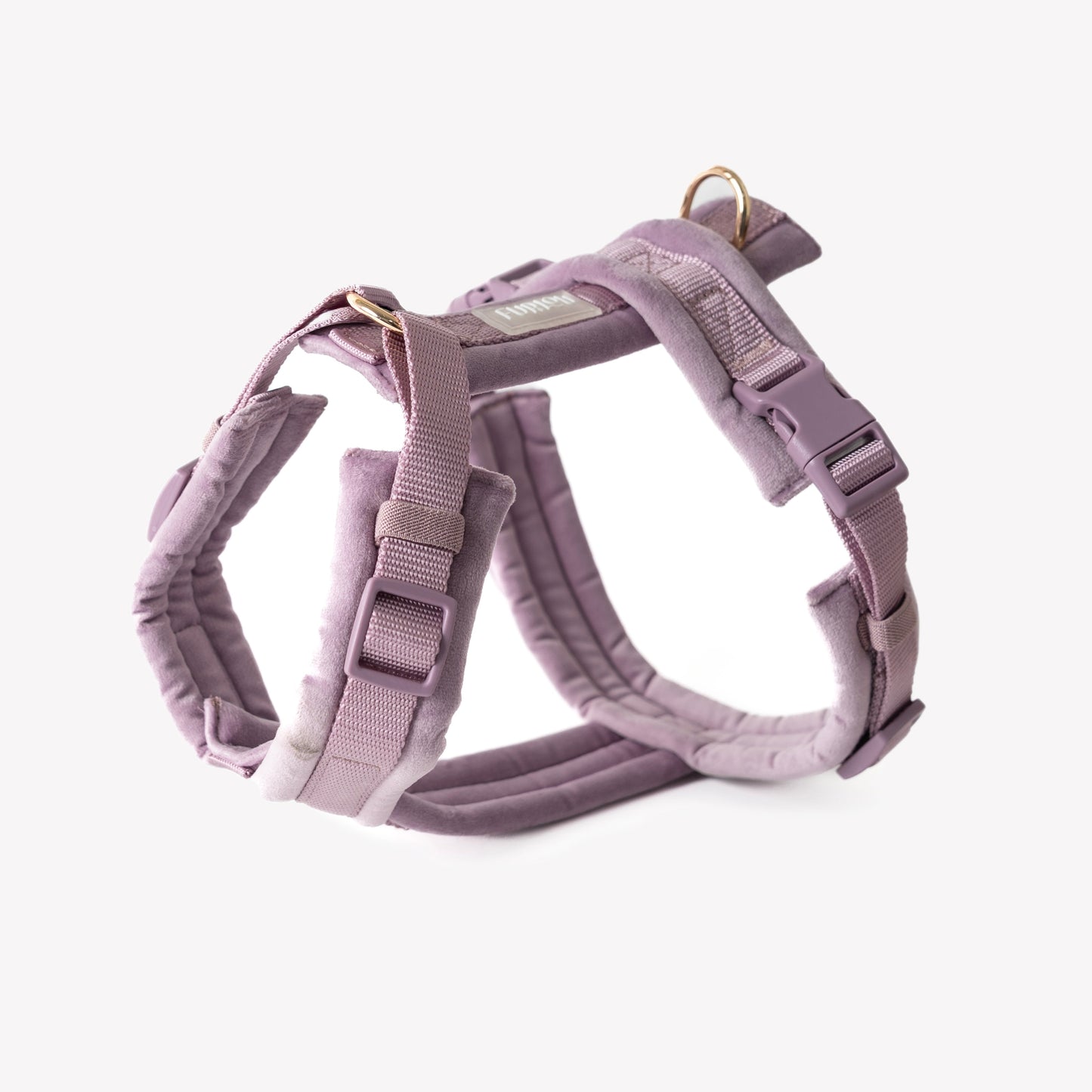 Harnais velours Lilac
