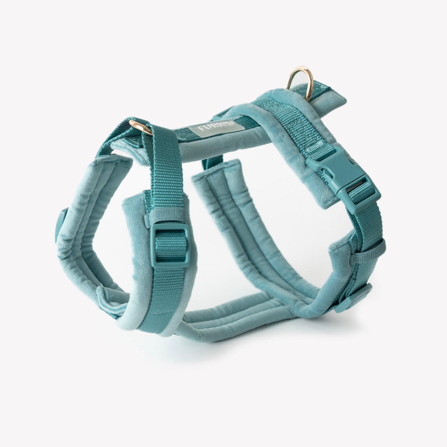 Harnais velours Blue
