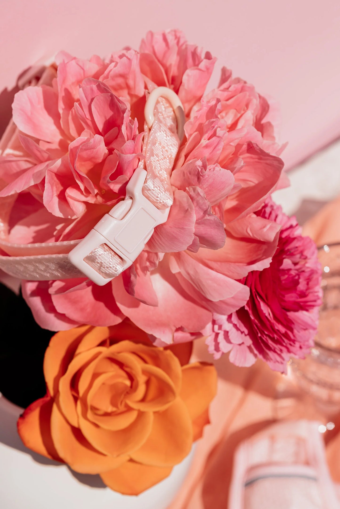 Collier Daily Sorbet