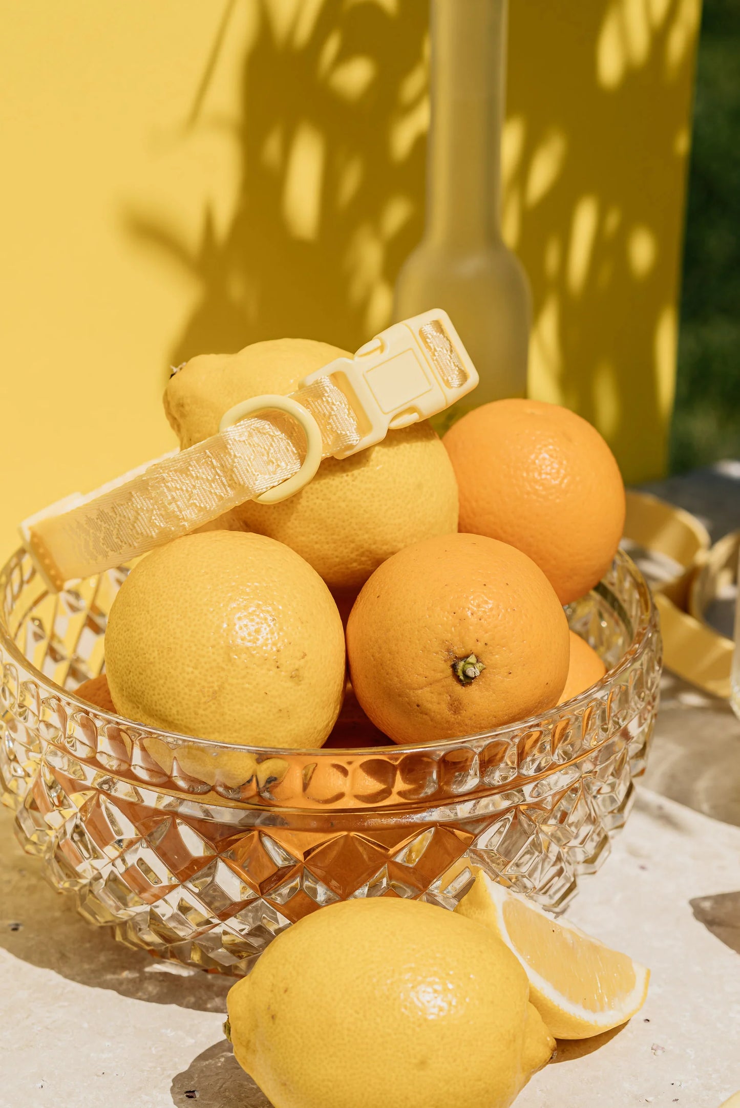 Collier Daily Limoncello