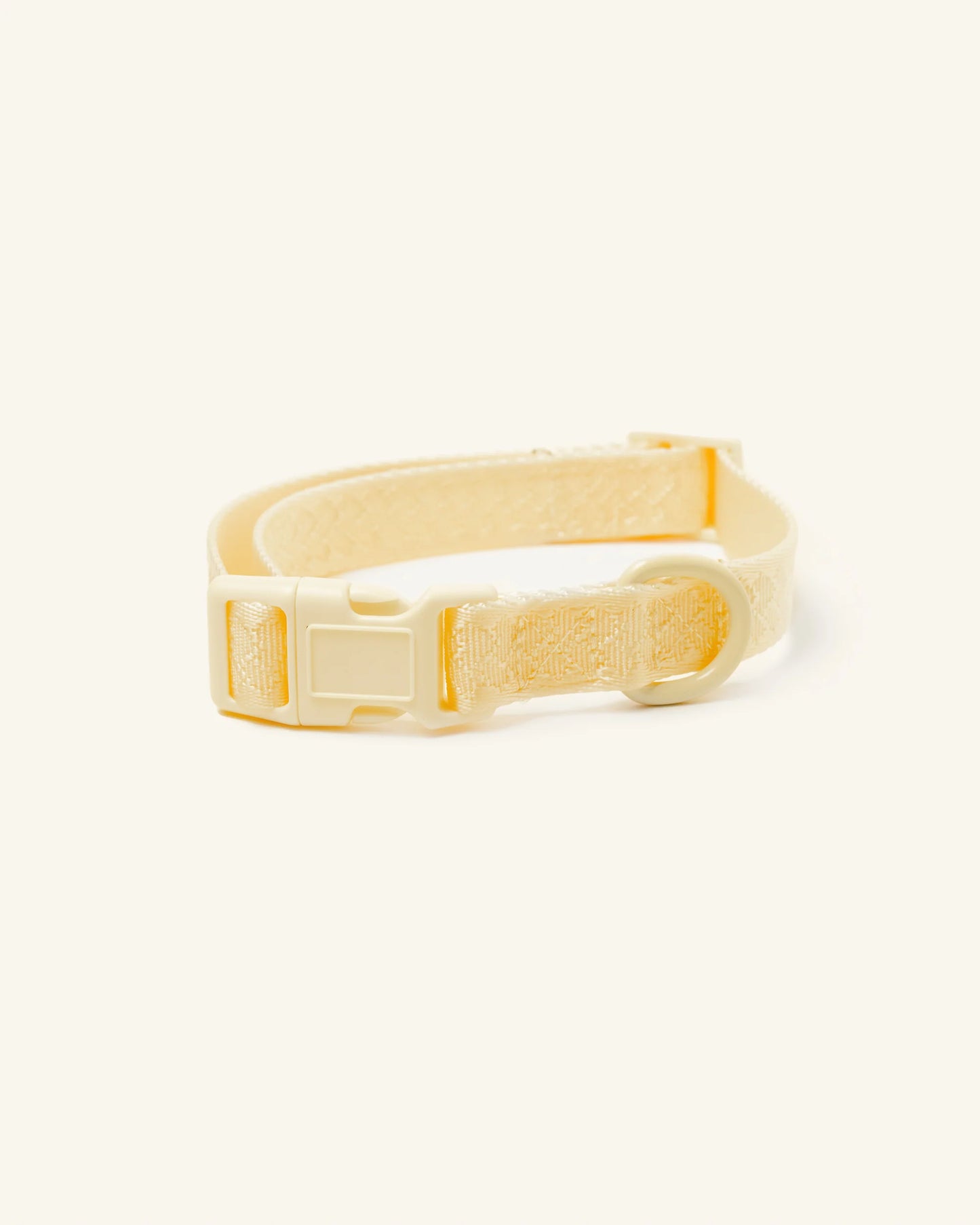 Collier Daily Limoncello