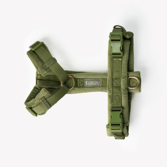 Harnais velours Green