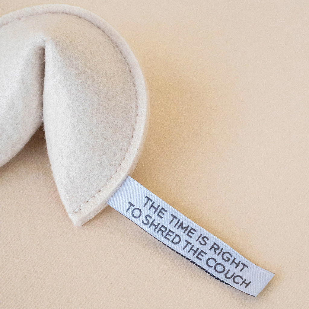 Jouet pour chat Fortune cookie