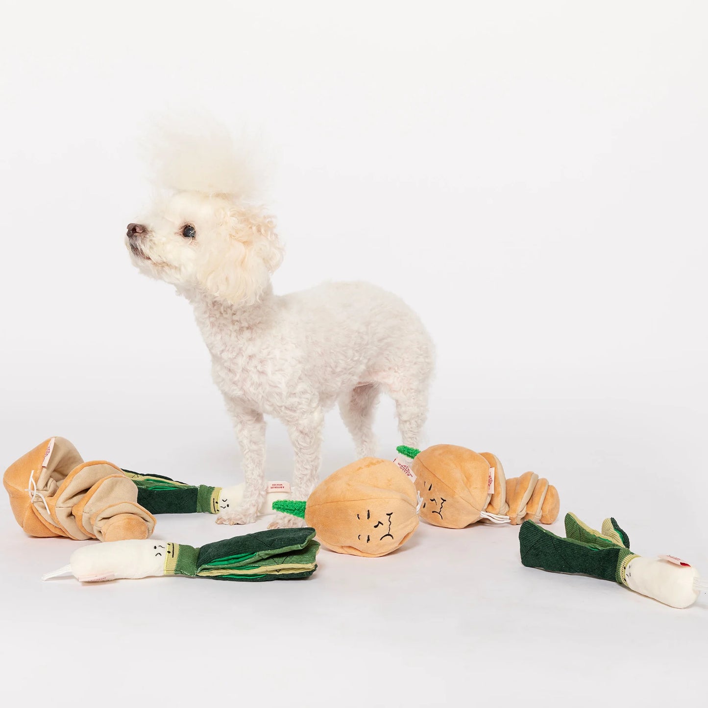 Jouet de fouille oignon - Green Onion