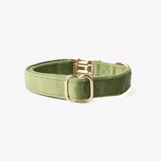 Collier en velours Green