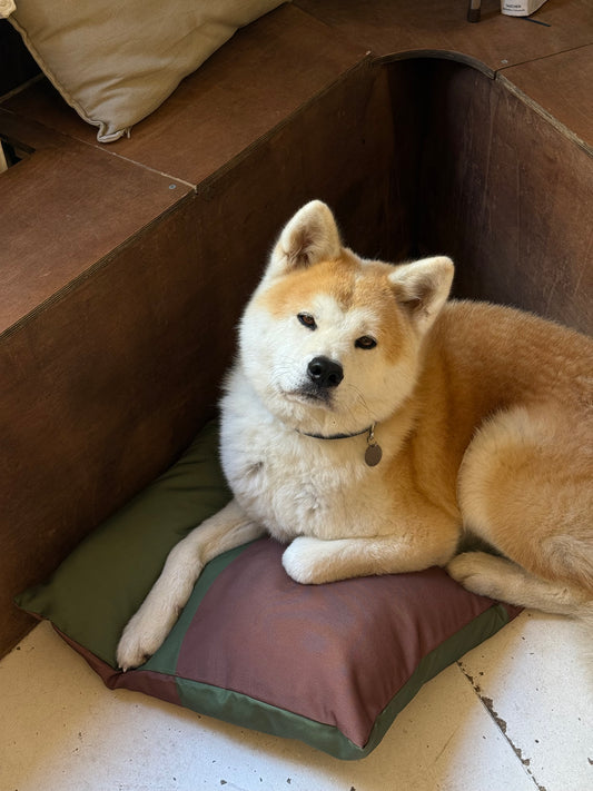 Coussin à damier marron et vert