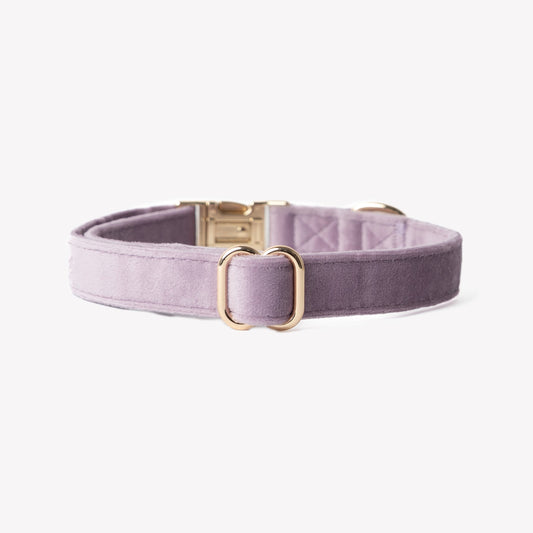 Collier en velours Lilac