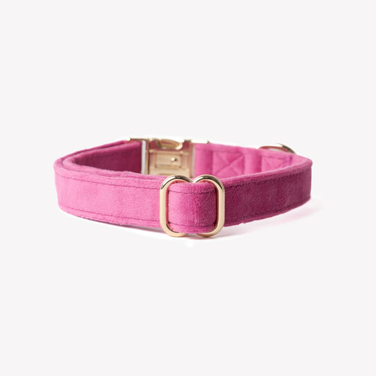 Collier en velours Magenta
