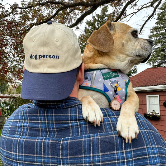 Casquette bicolore Dog Person