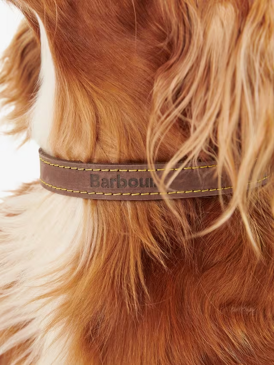 Collier en cuir marron Barbour