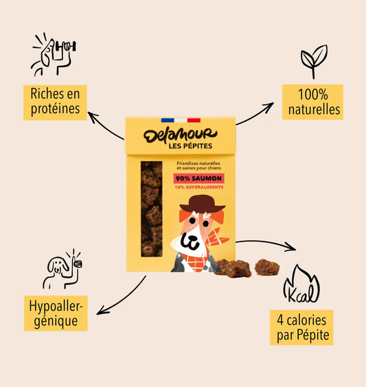 Friandises Les Pépites Saumon