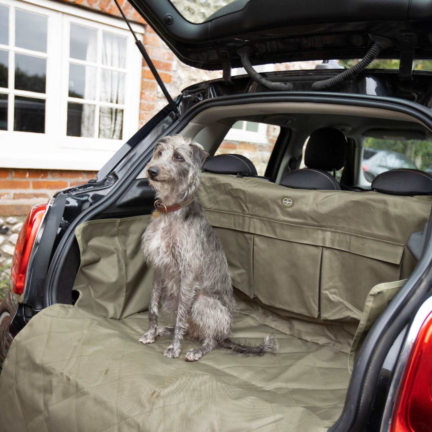 Protection de voiture