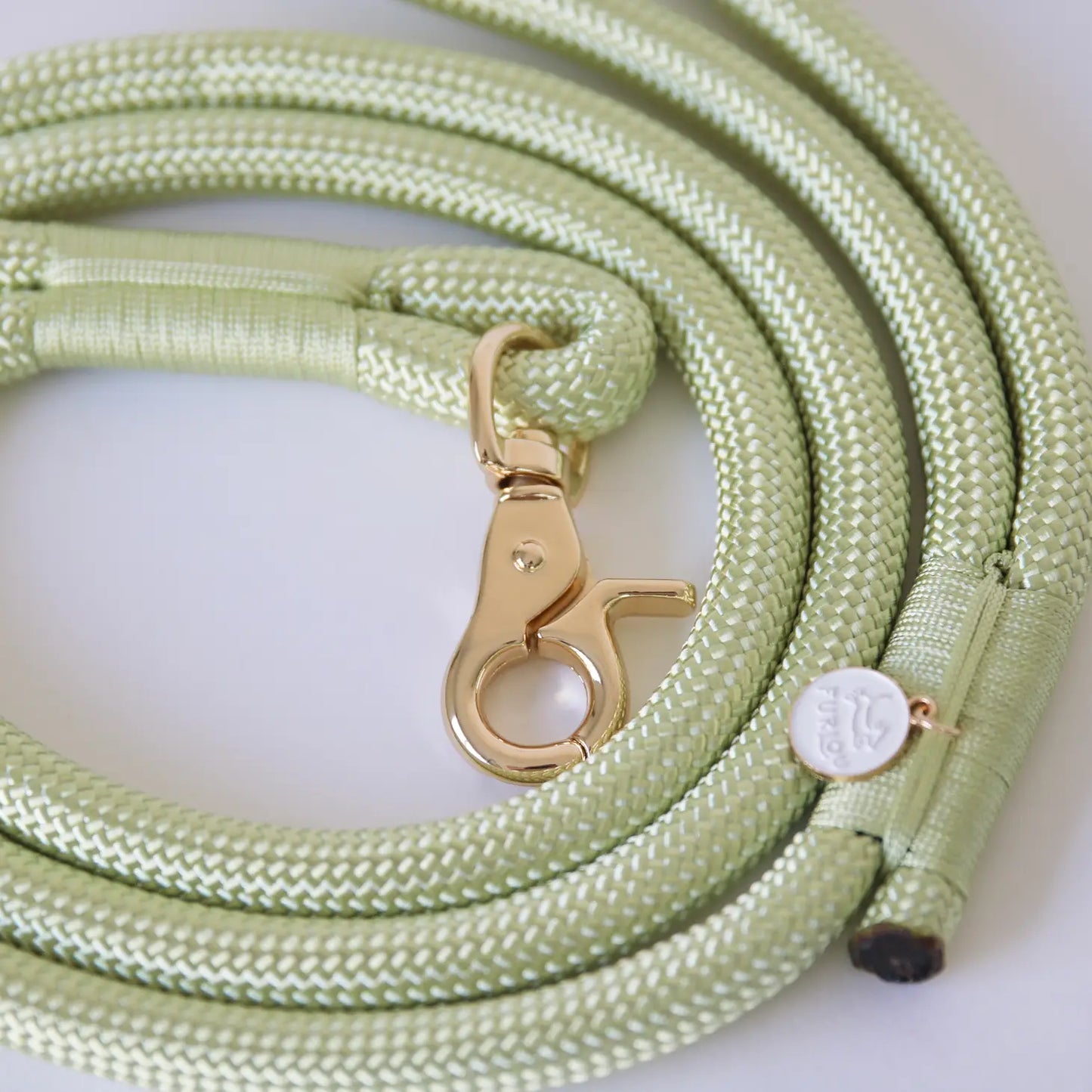 Laisse mains libres en corde Lime Green