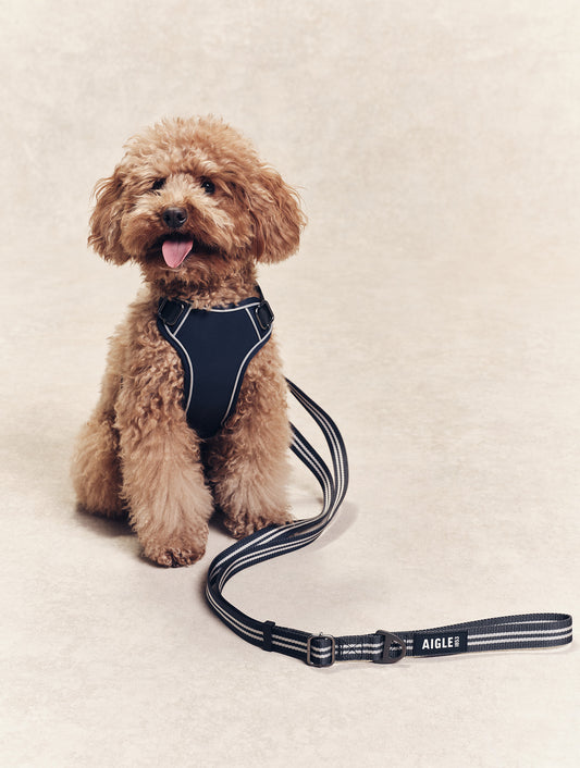 Harnais Aigle bleu marine