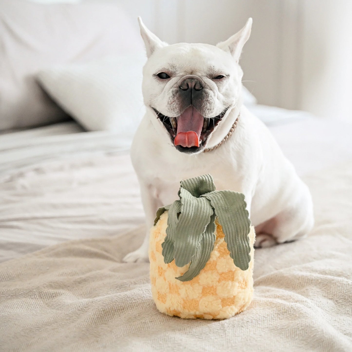 Jouet de fouille Ananas