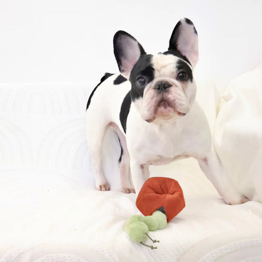 Jouet de fouille pomme et chenille