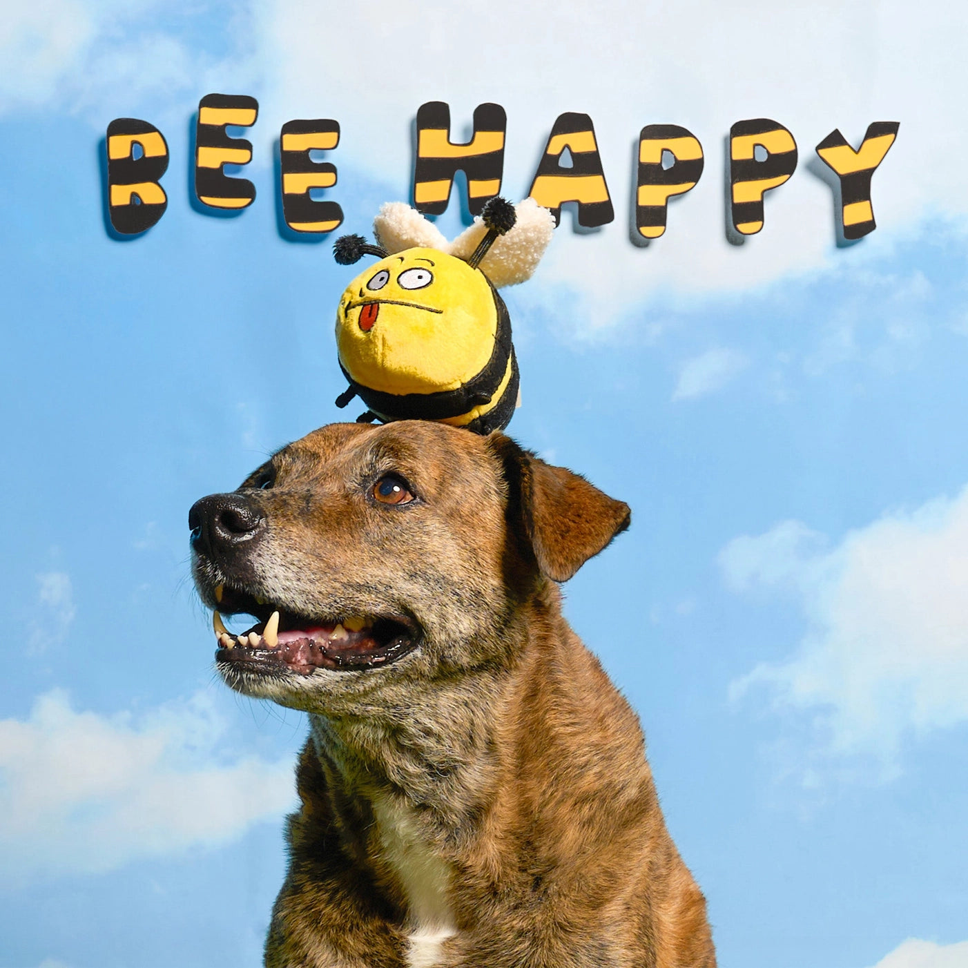 Jouet de fouille Bee Happy