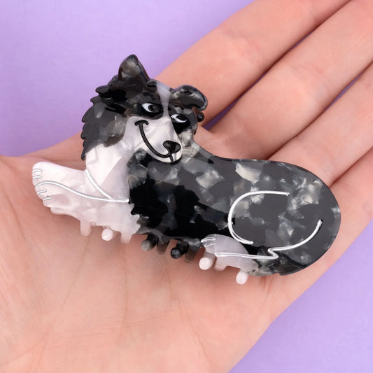 Pince à cheveux Border Collie