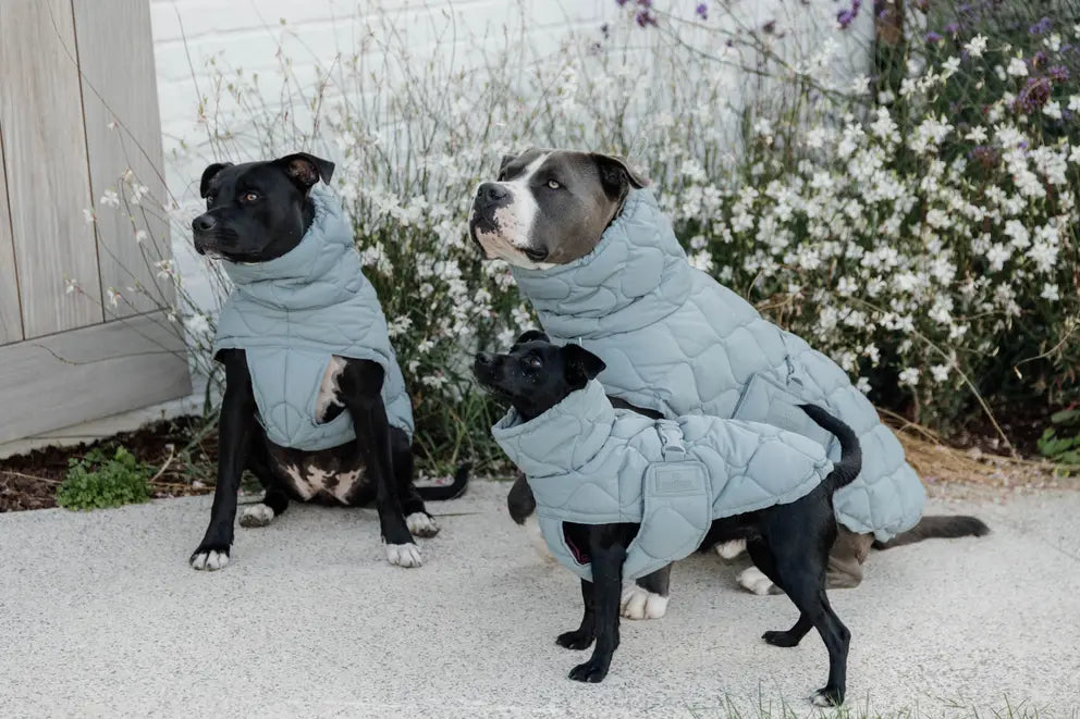 Manteau d'hiver Pina