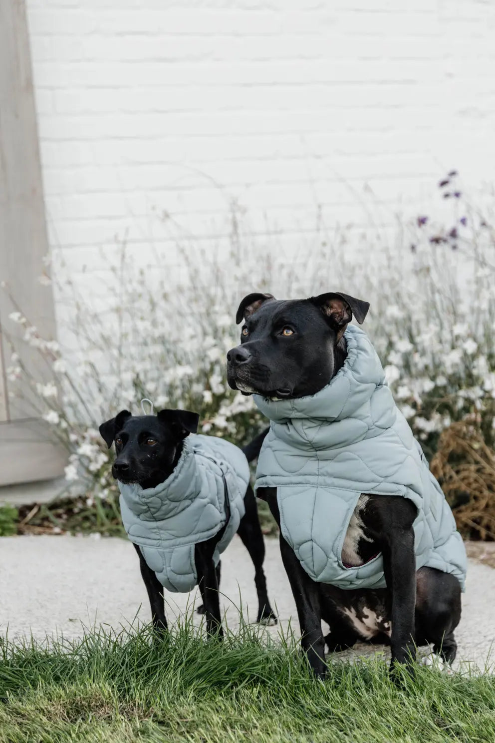 Manteau d'hiver Pina