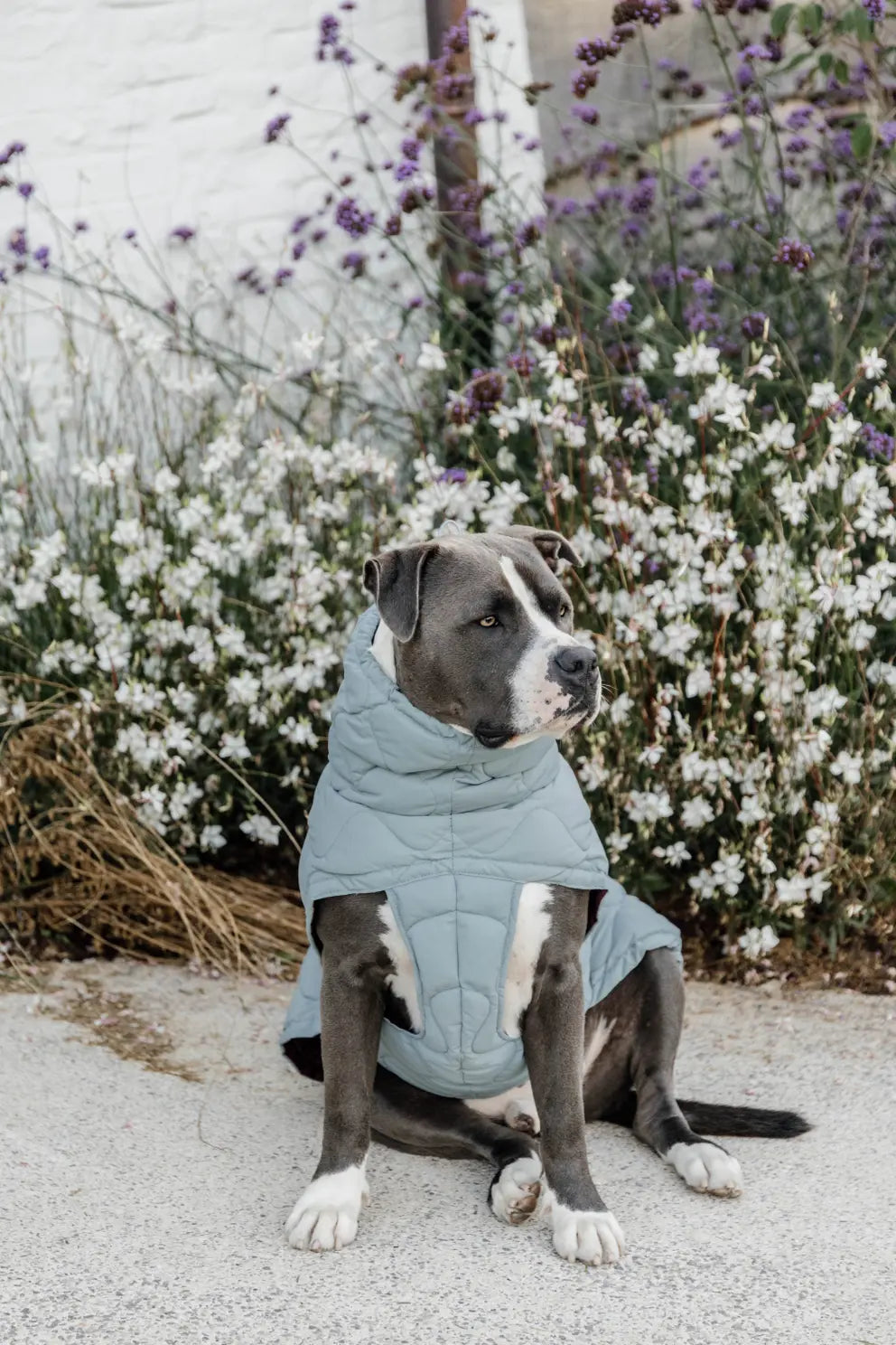 Manteau d'hiver Pina