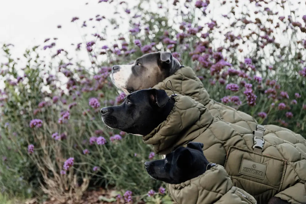 Manteau d'hiver Pina