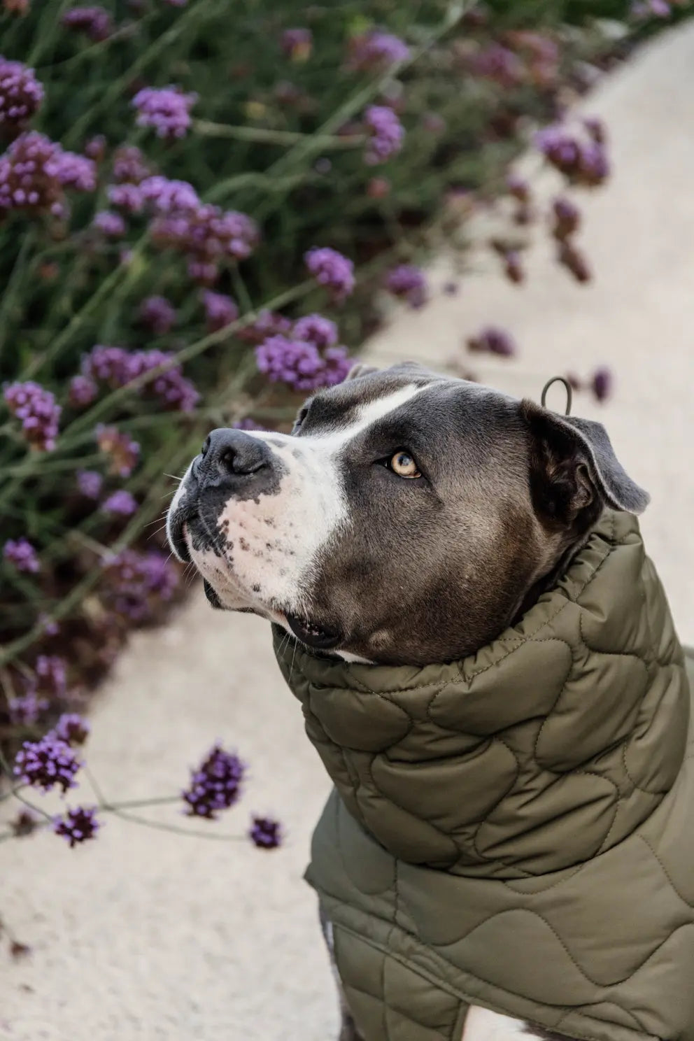 Manteau d'hiver Pina