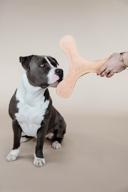 Jouet Boomerang