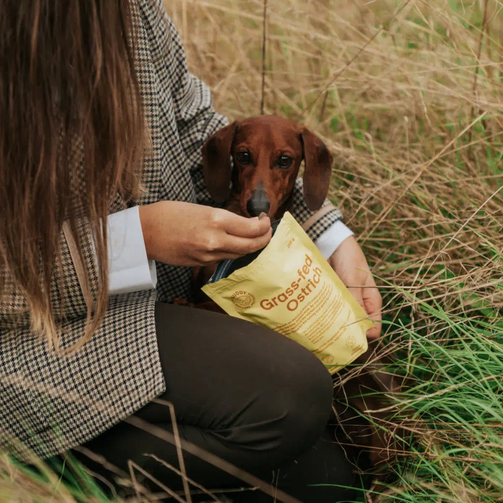 Friandises semi-humides autruche