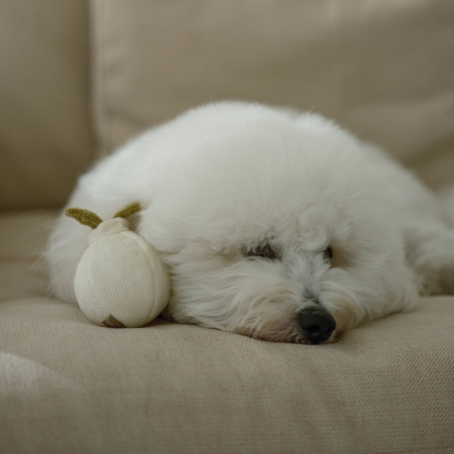 Jouet Garlic Pop
