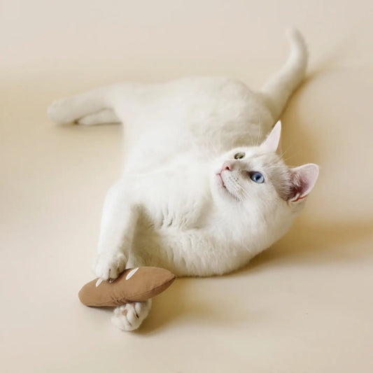 Jouet pour chat baguette