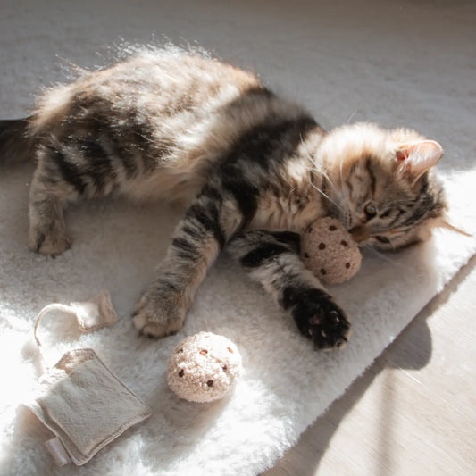 Jouet pour chat Tea Time