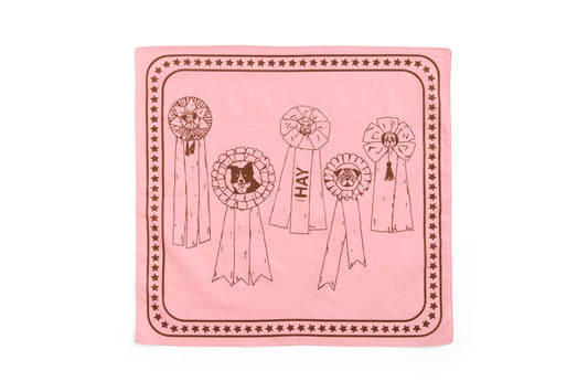 Bandana Pink HAY