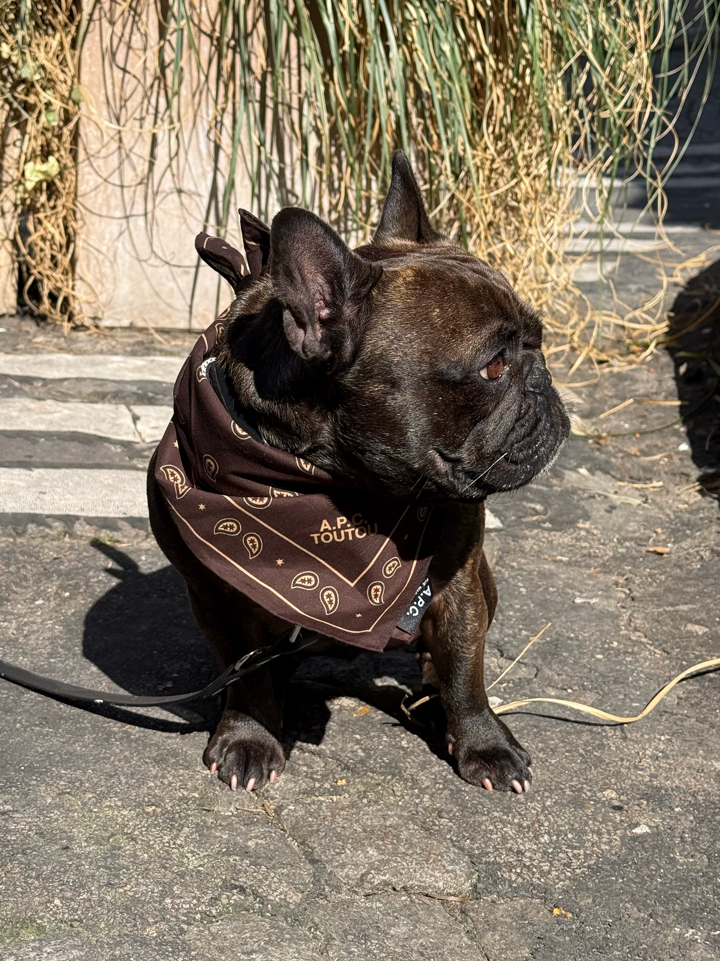 Bandana imprimé A.P.C.