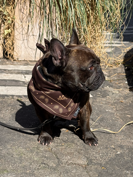 Bandana imprimé A.P.C.