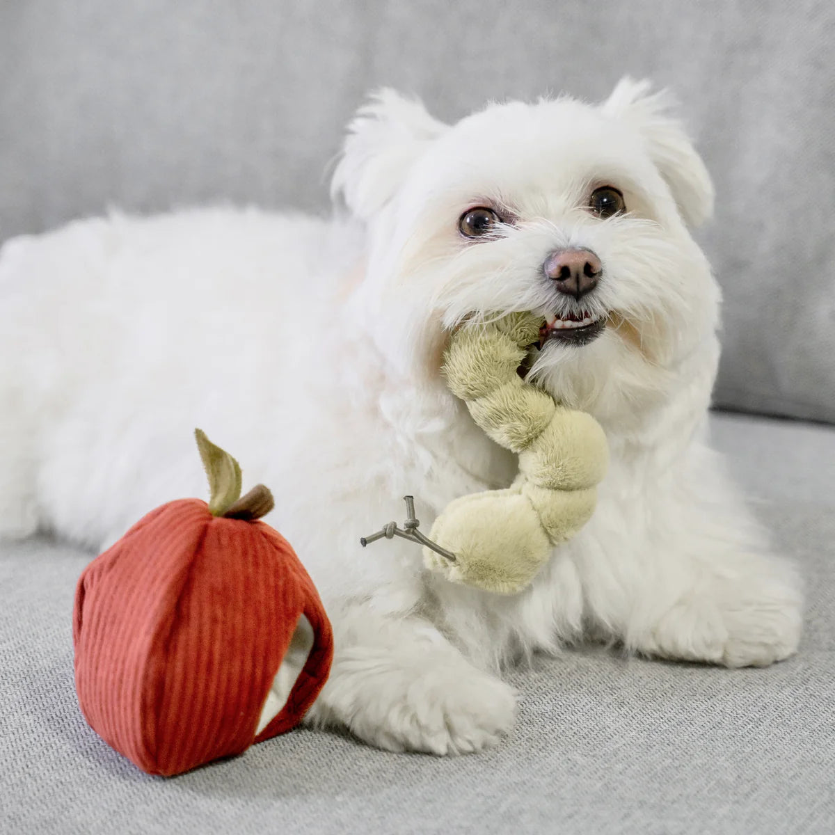 Jouet de fouille pomme et chenille