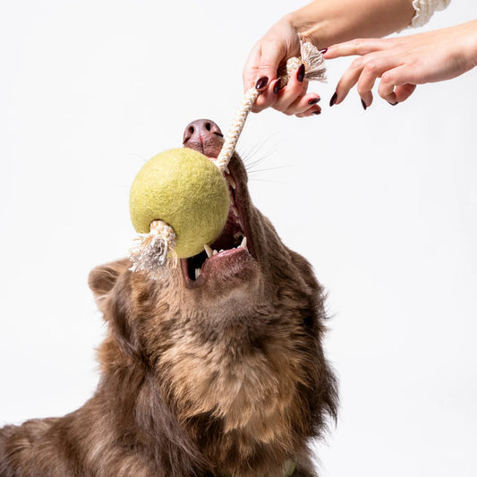 Jouet en feutre Pimento Olive