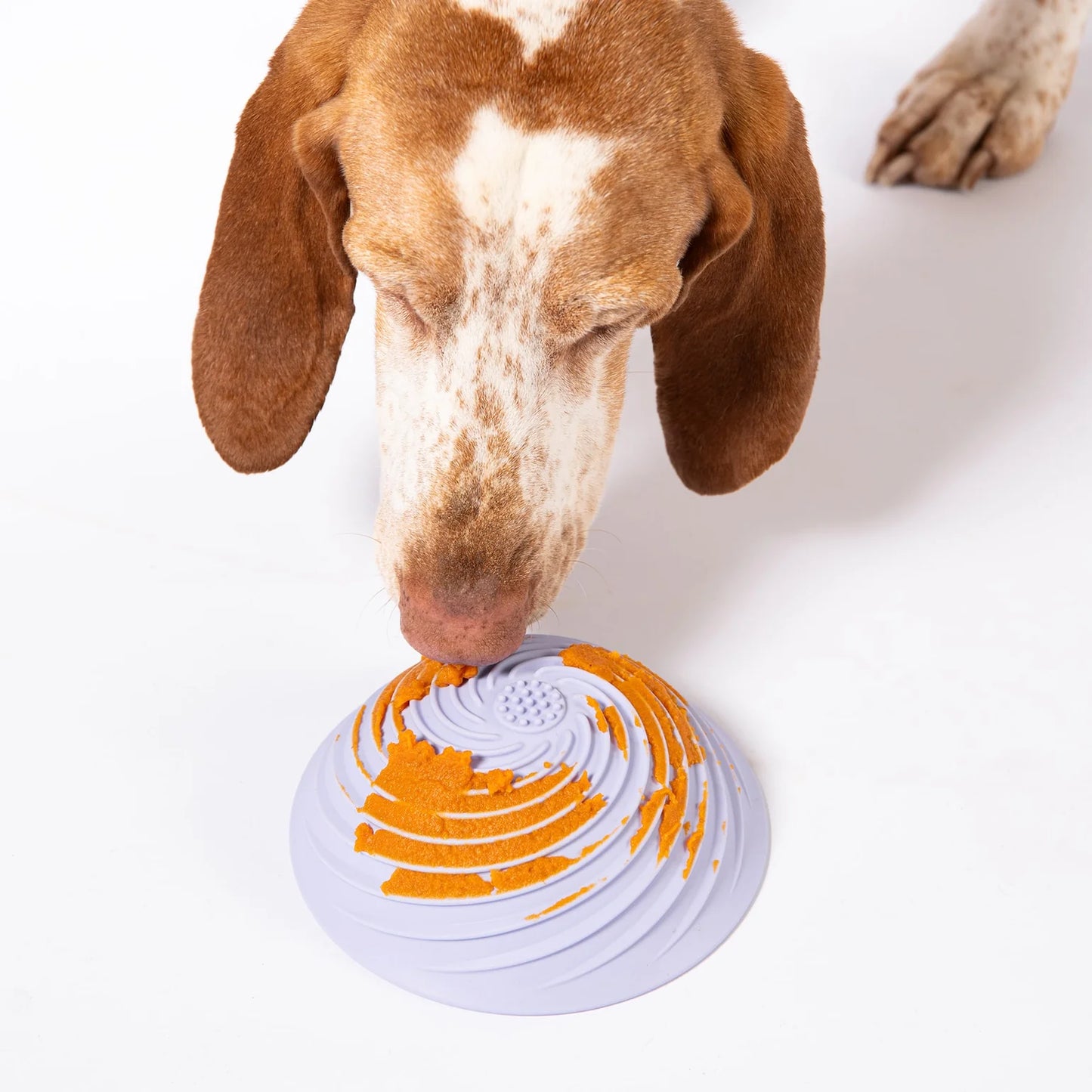 Bol de léchage Wobbowl Slow Feeder