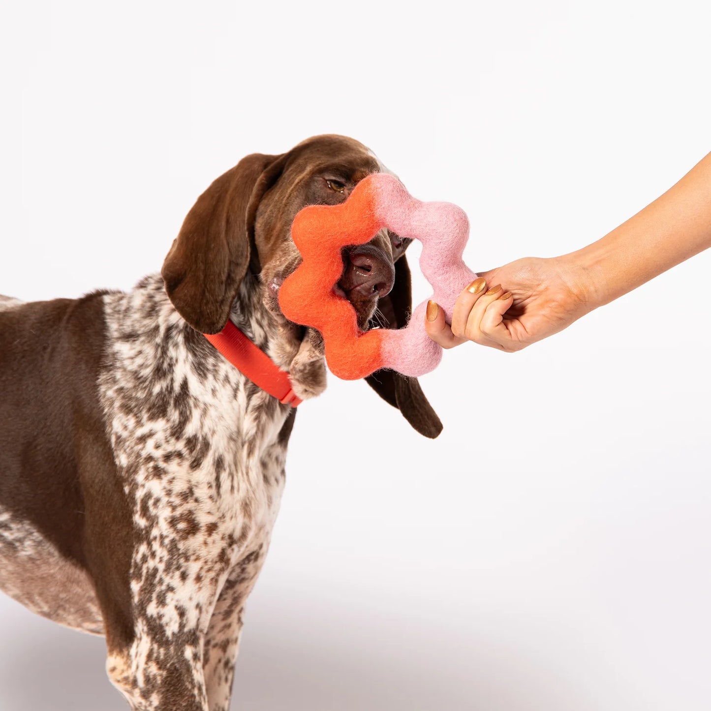 Jouet Wiggle Ring en feutre