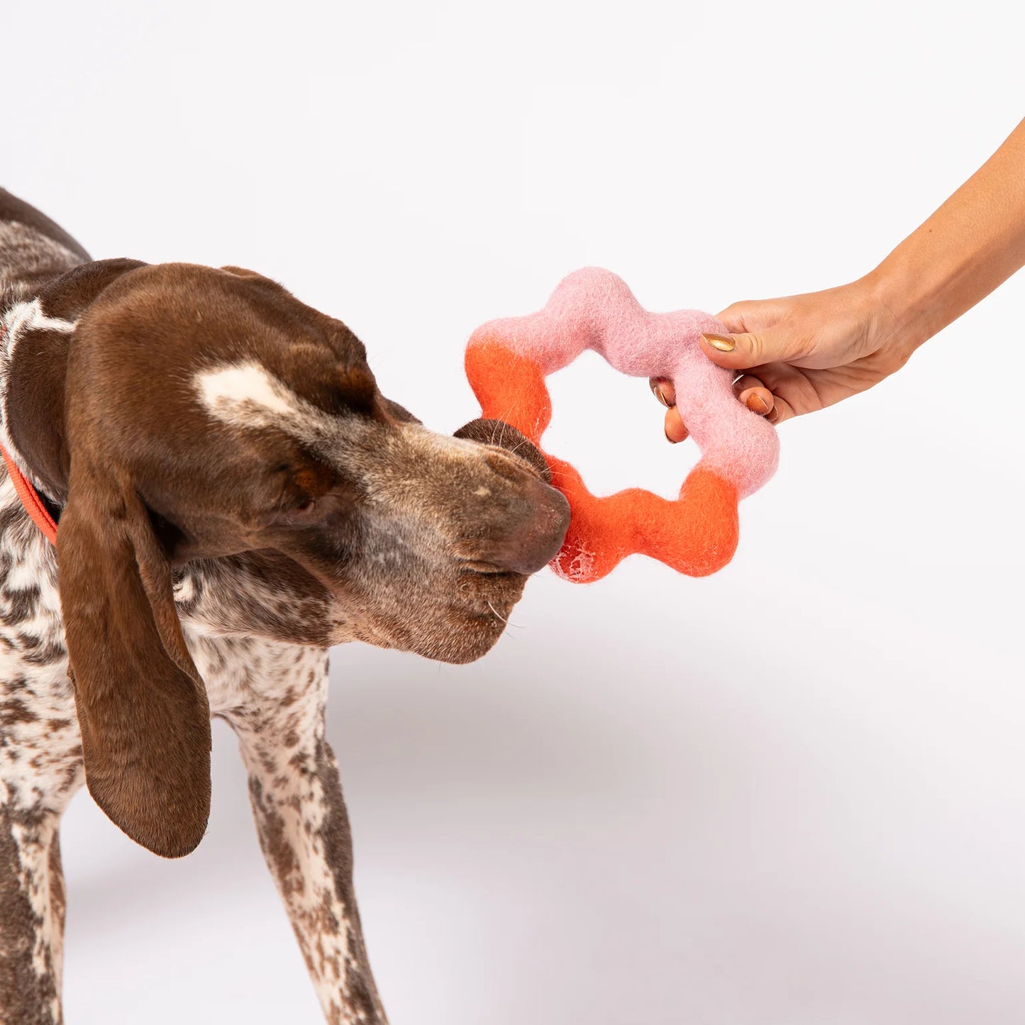 Jouet Wiggle Ring en feutre