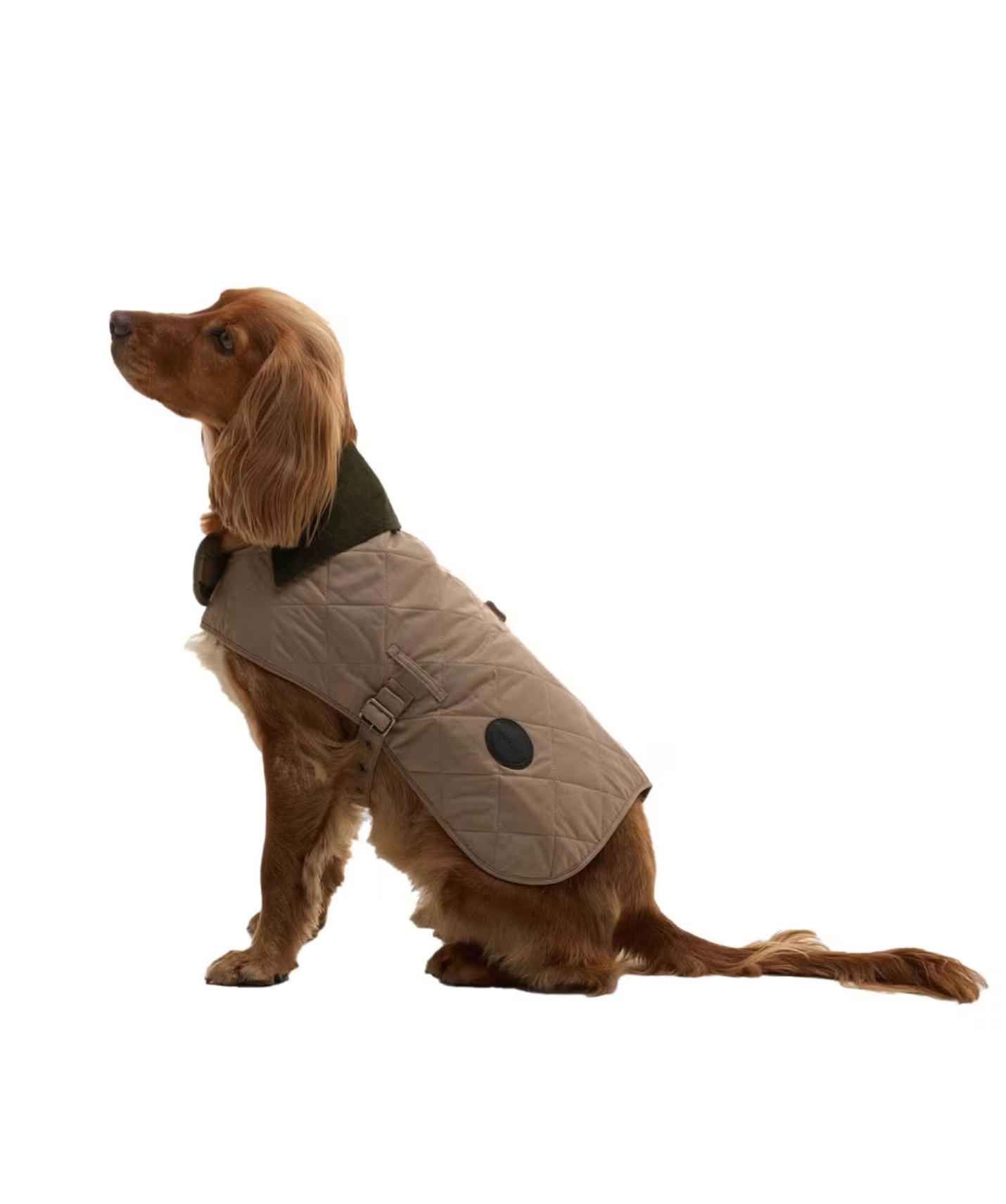 Barbour Quilted Dog Coat Sand