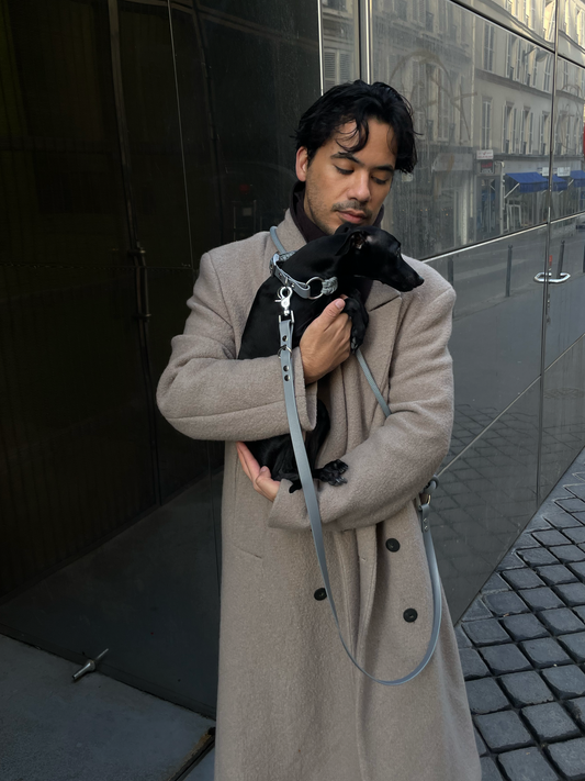 Collier bi-matière Silver Dragees