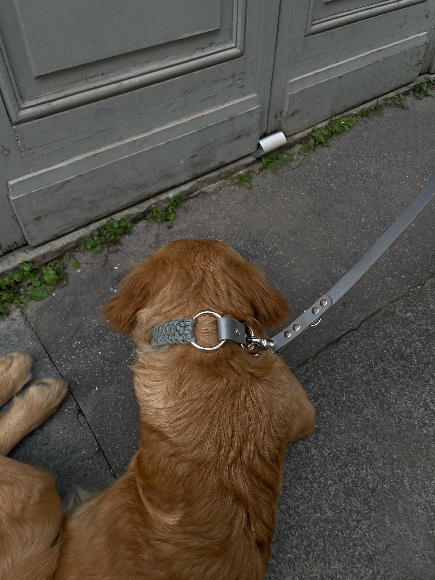 Collier bi-matière Silver Dragees