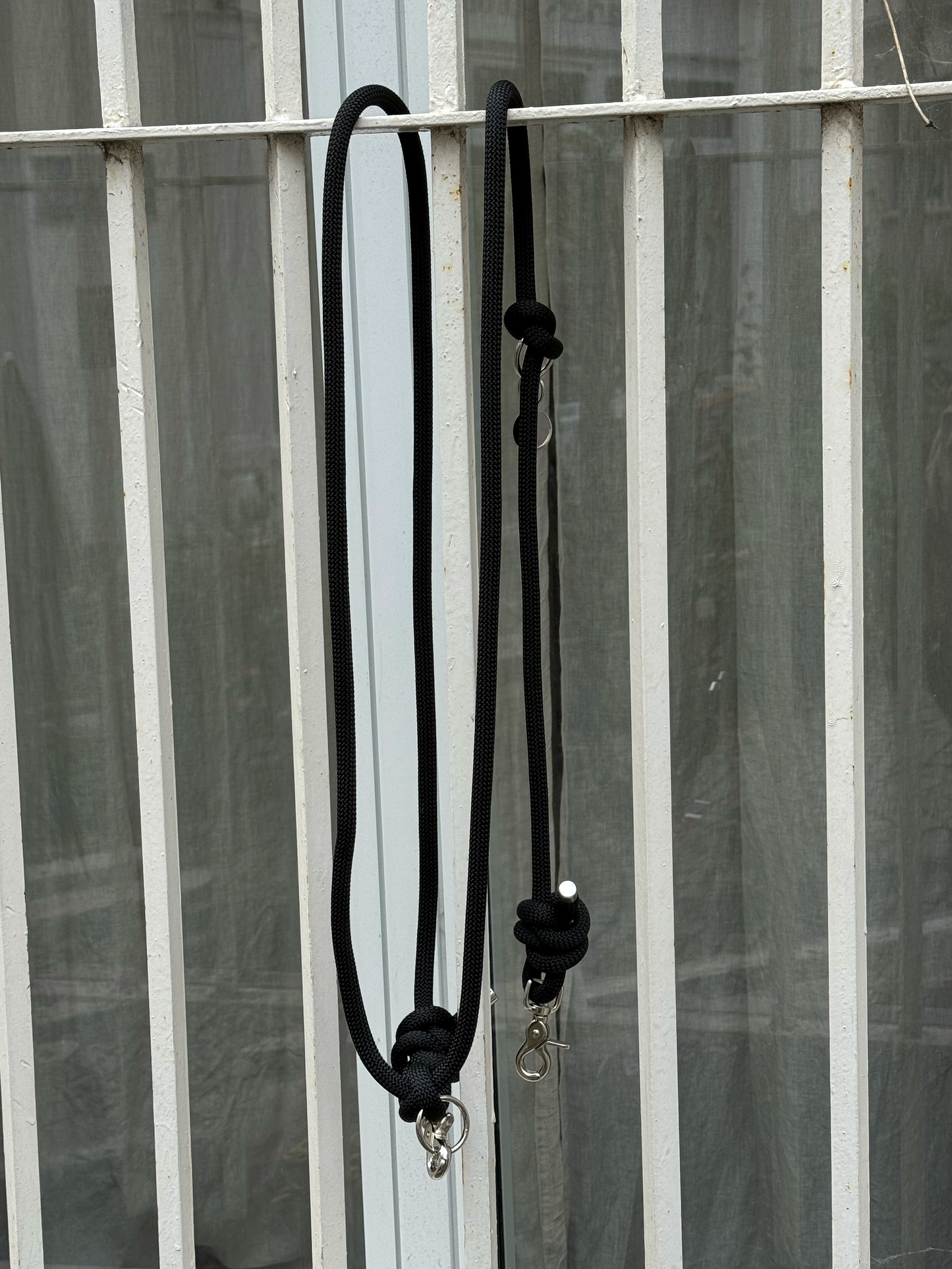 Laisse mains-libres corde Licorice