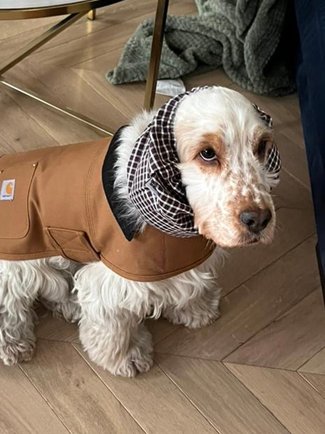 Snood Espresso