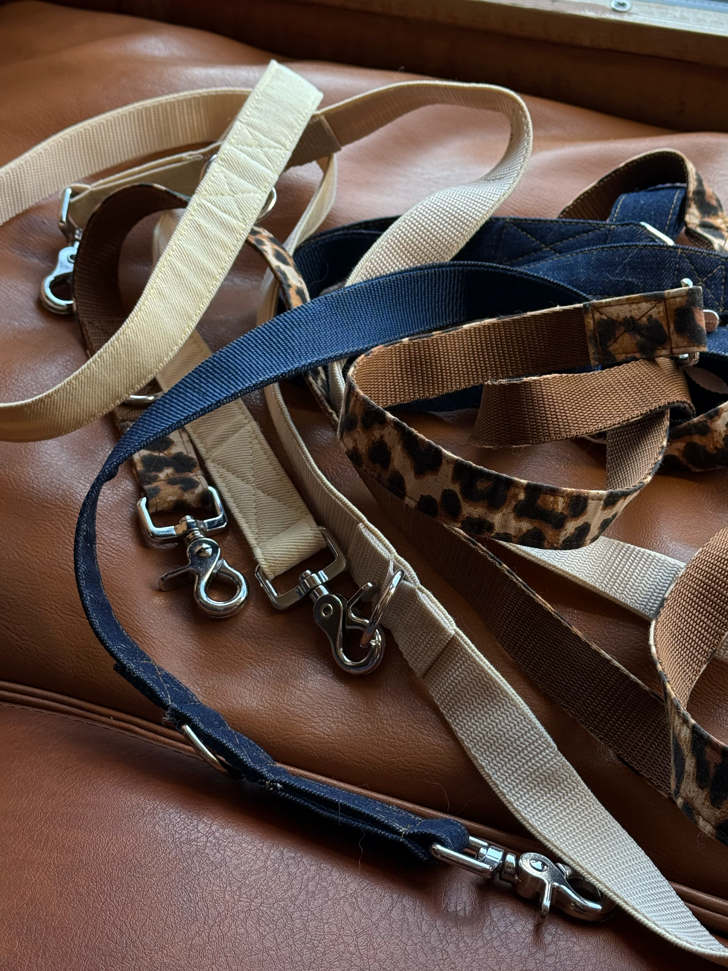 Laisse mains libres Dark Jeans