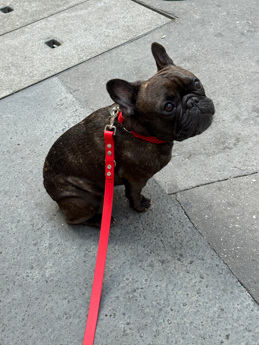 Collier bi-matière Berry