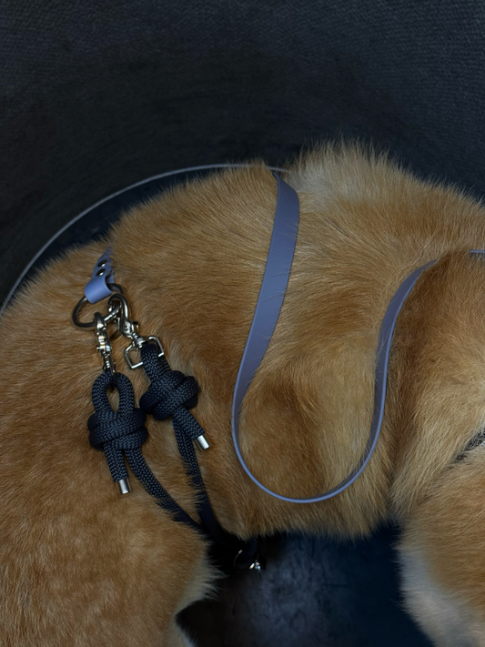 Laisse mains-libres 3 positions Black Sesame