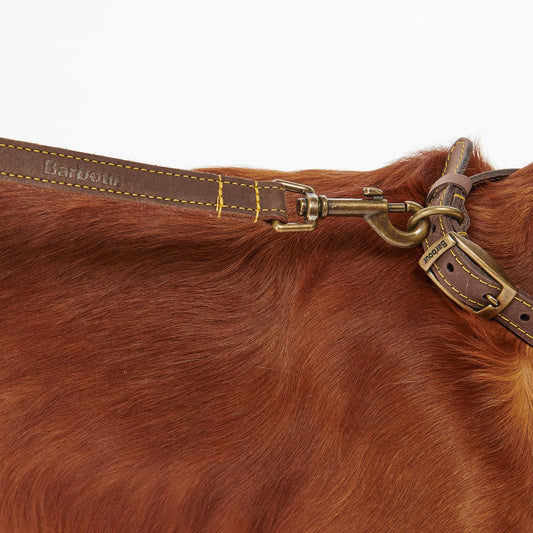 Laisse en cuir marron Barbour